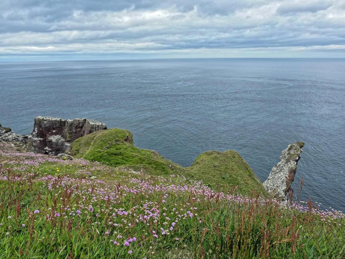 The Law House Leilighet Coldingham Eksteriør bilde